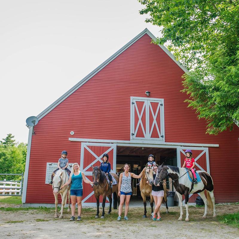 Horses for sale Vermont, Camp Horses for Lease, Selling Horses for sale